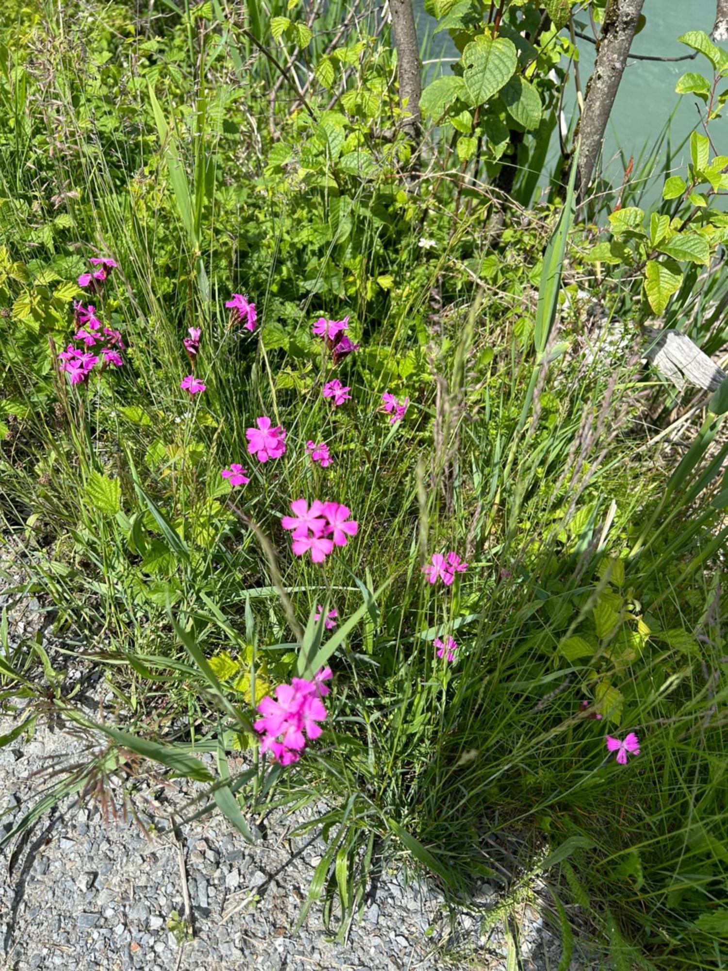 卡普伦Haus Laubreuter公寓 外观 照片